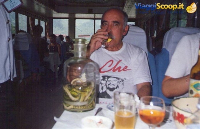 Buono Vino con SERPENTE