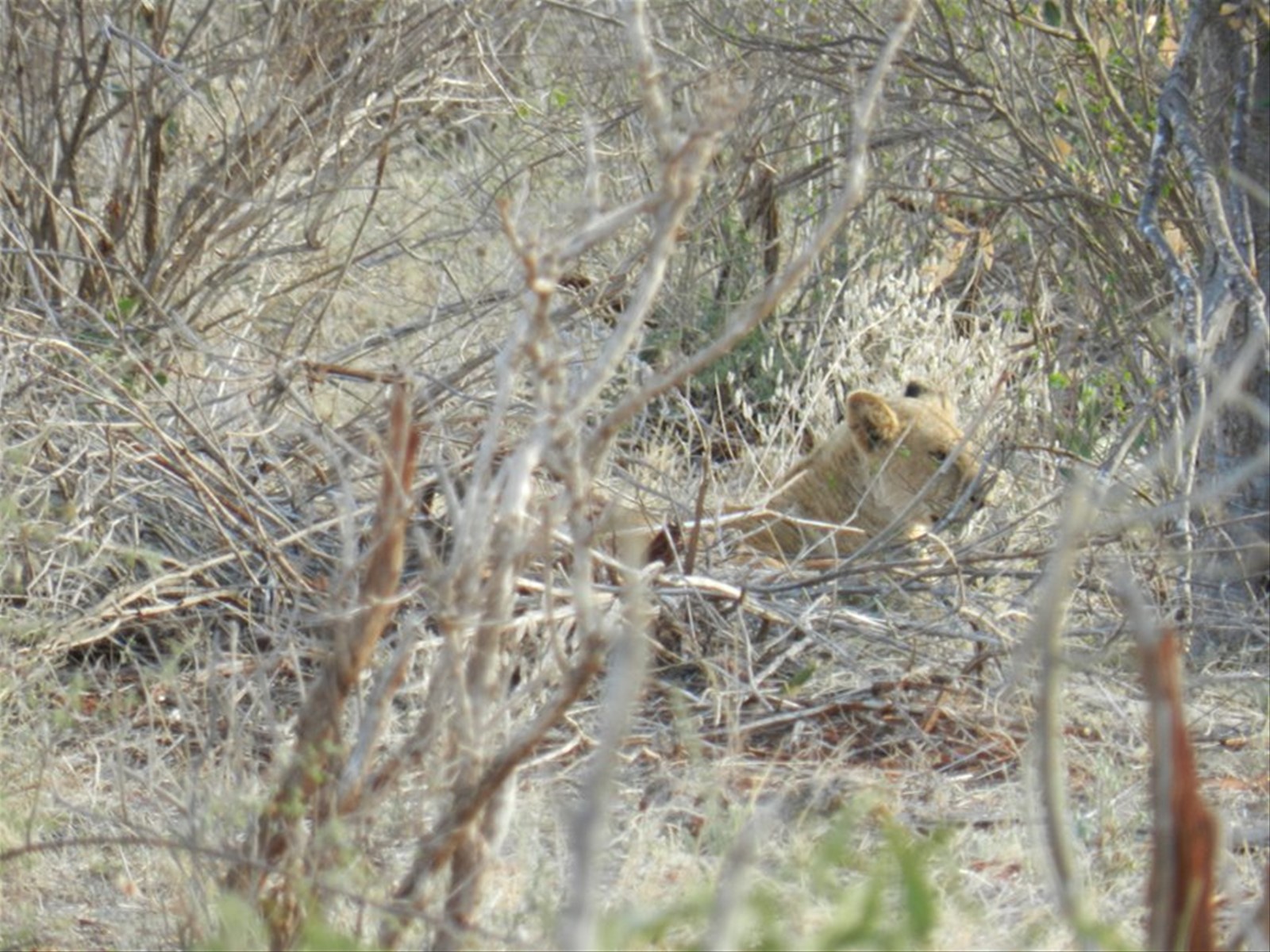 Foto di viaggio in KENYA