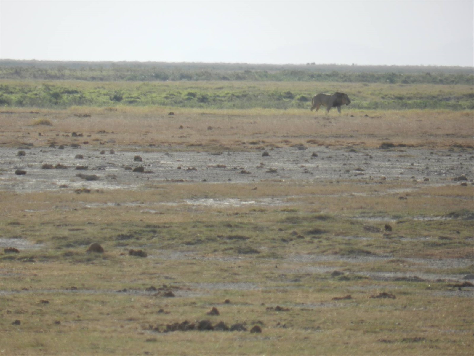 Foto di viaggio in KENYA