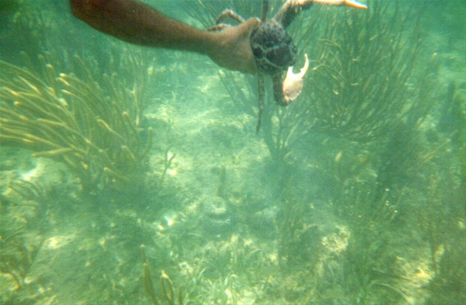Foto di viaggio in CUBA