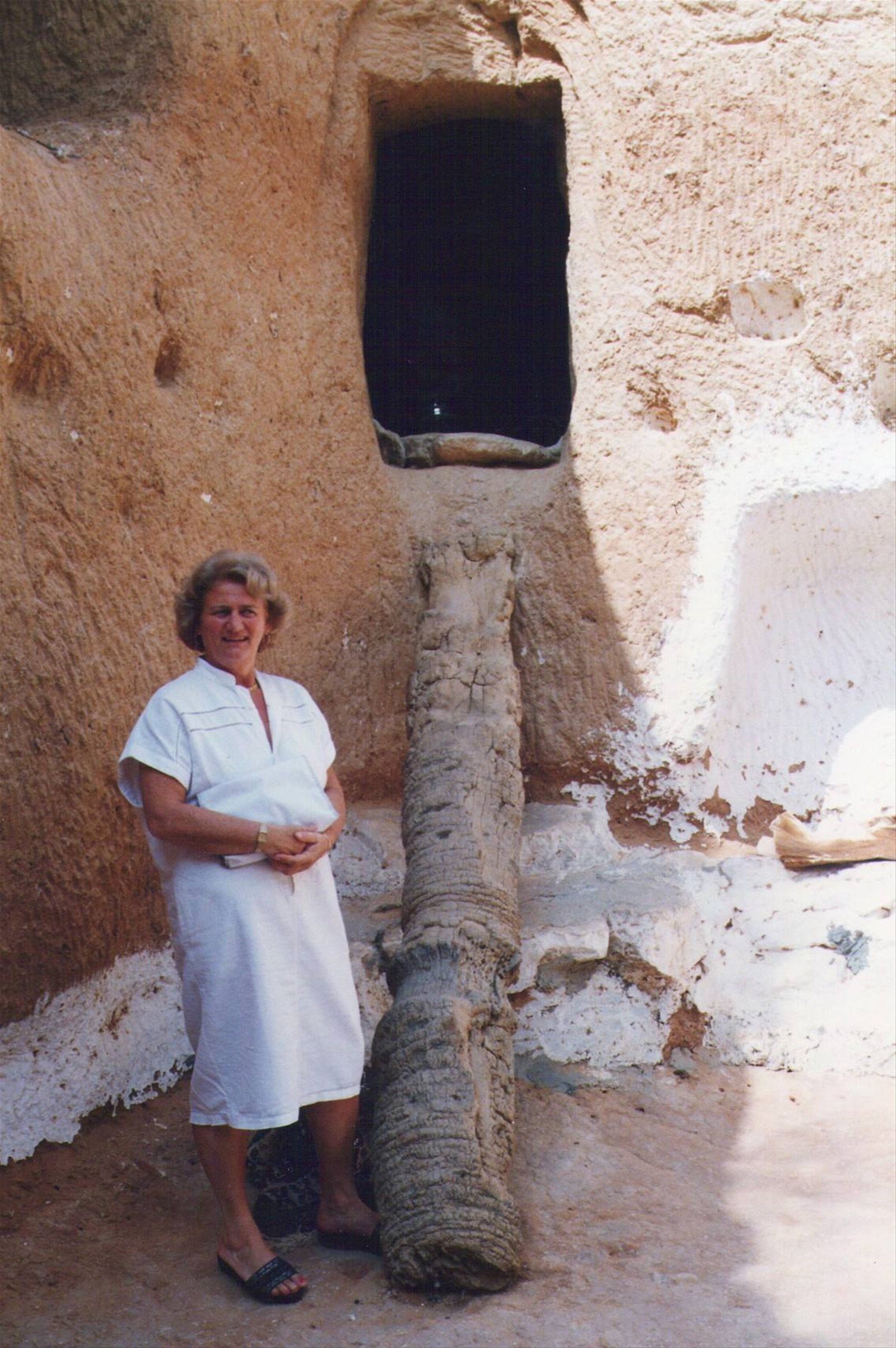 Foto di viaggio in TUNISIA