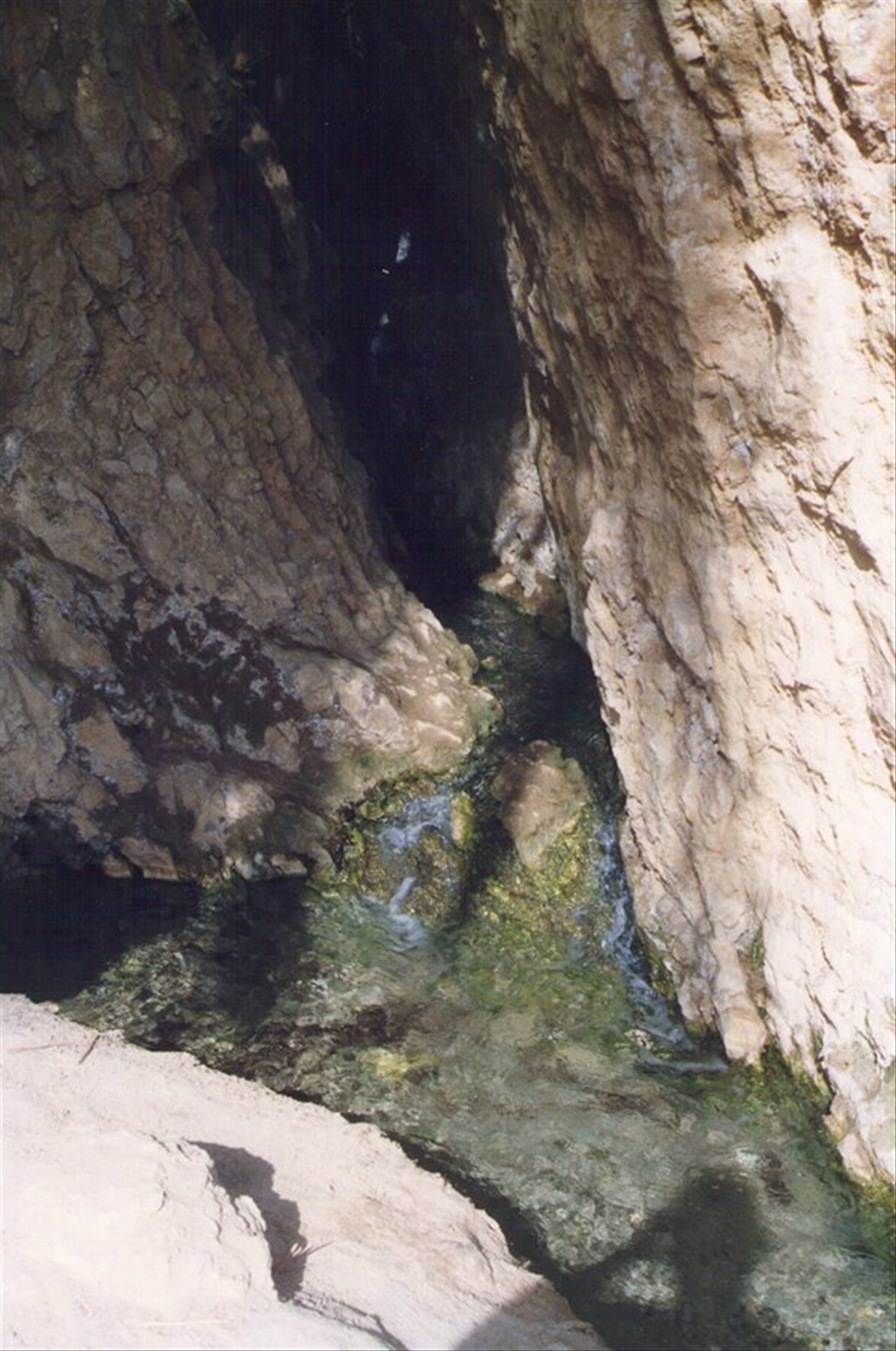 Foto di viaggio in TUNISIA