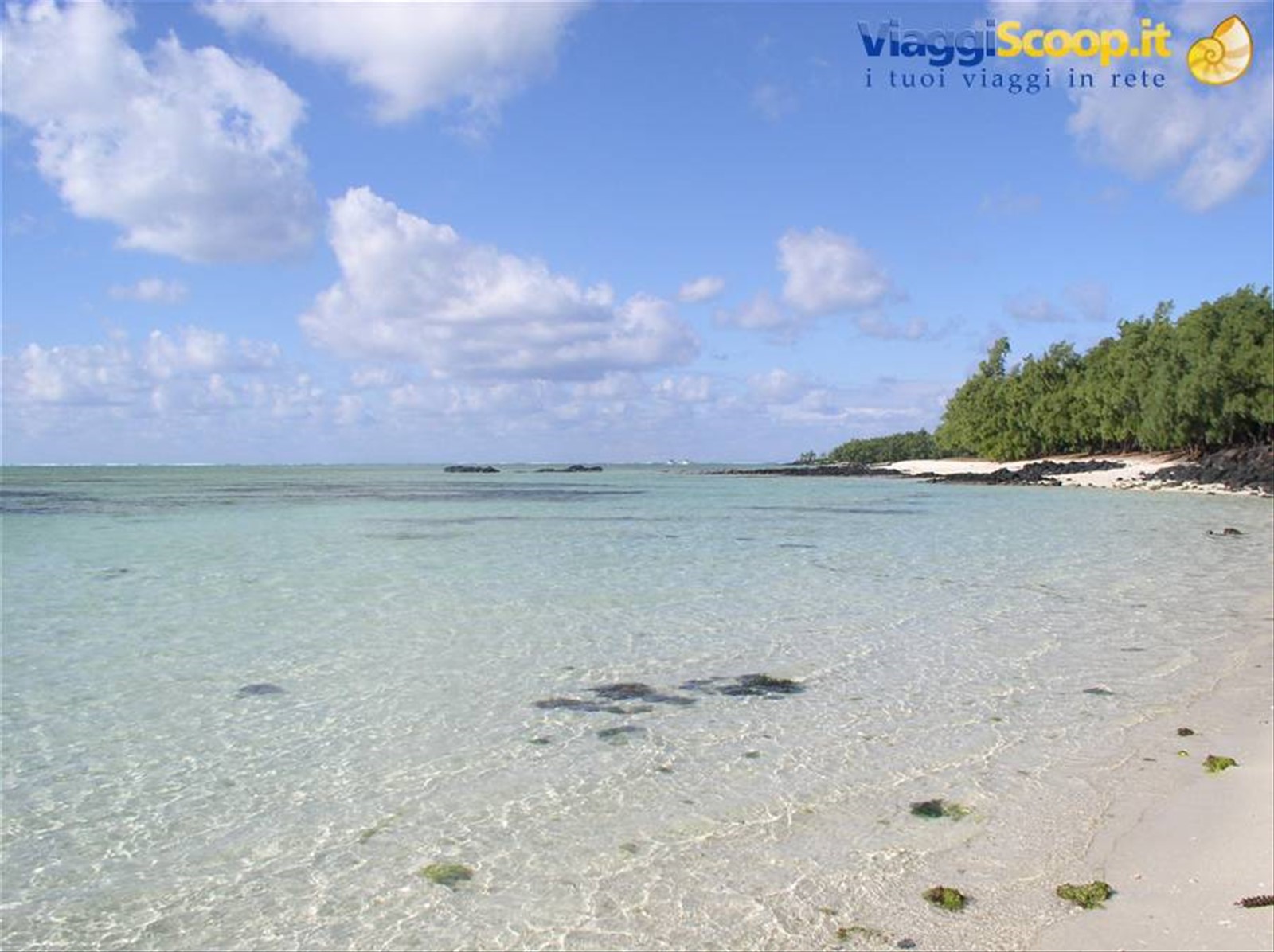 Foto di viaggio in MAURITIUS