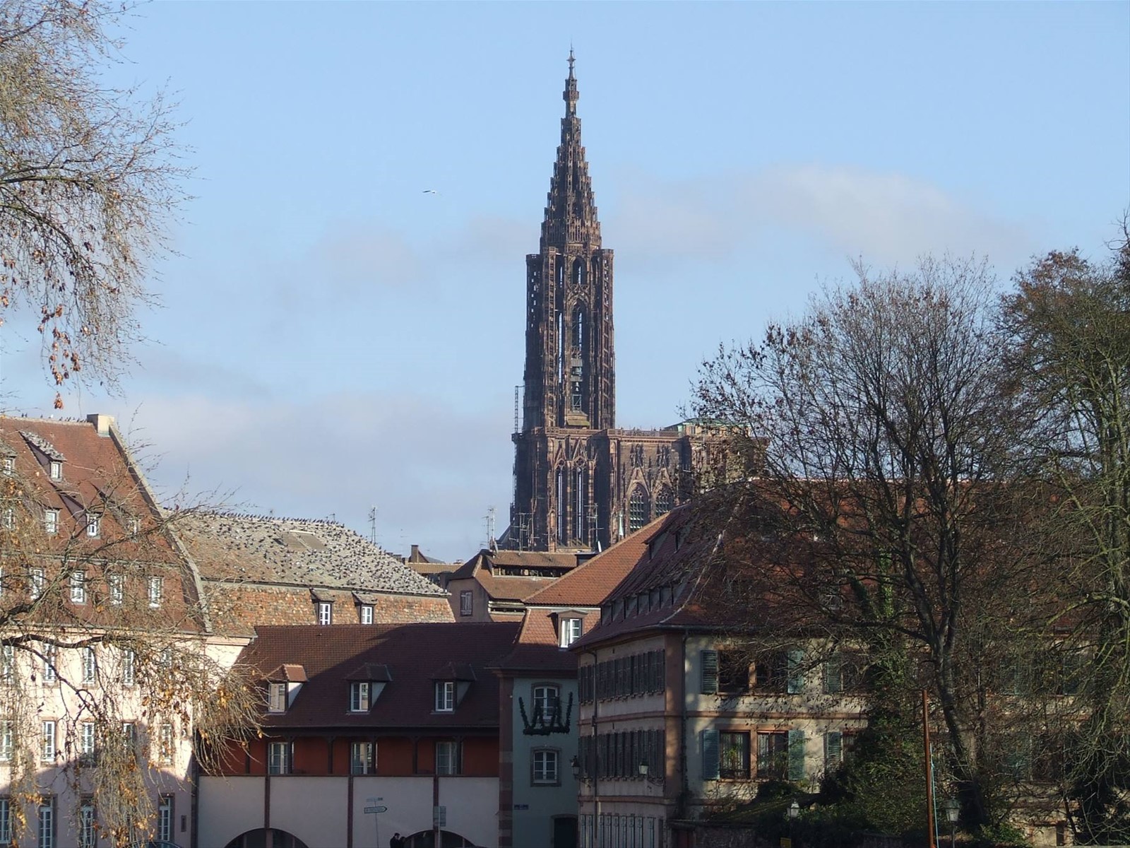 STRASBURGO - Il campanile della Cattedrale dalla Petite France