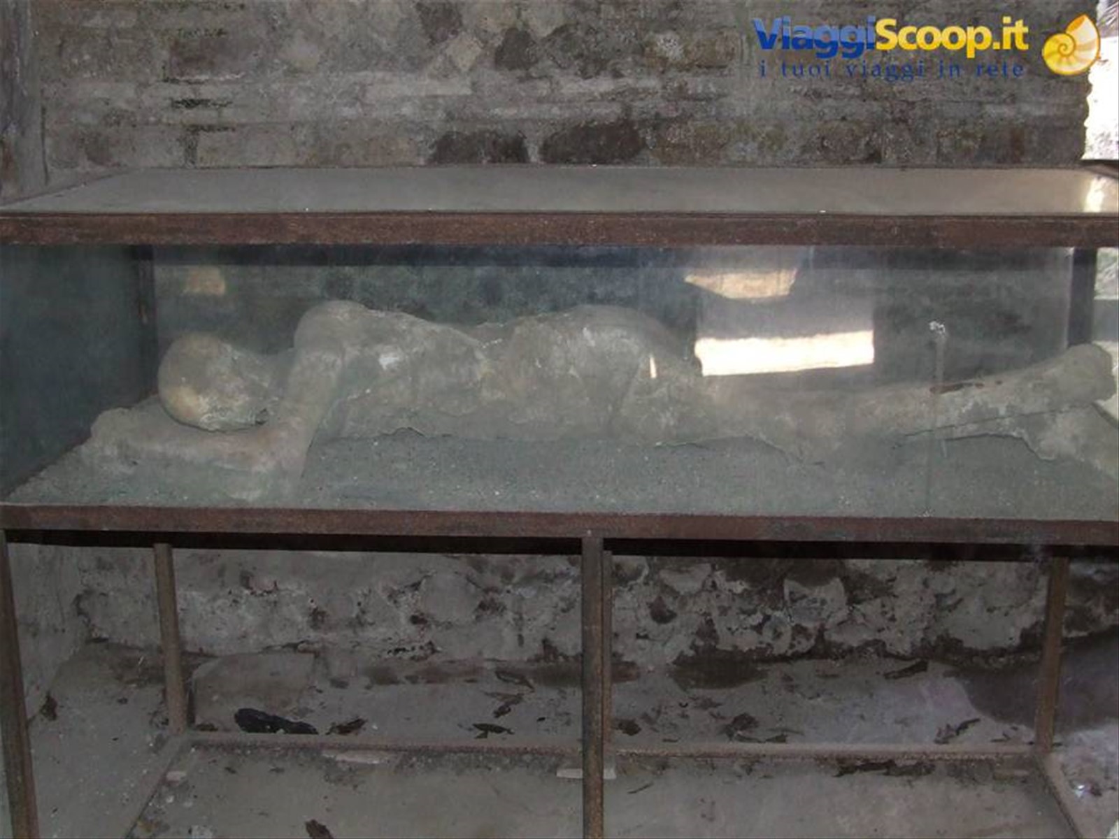 POMPEI - Calco in gesso