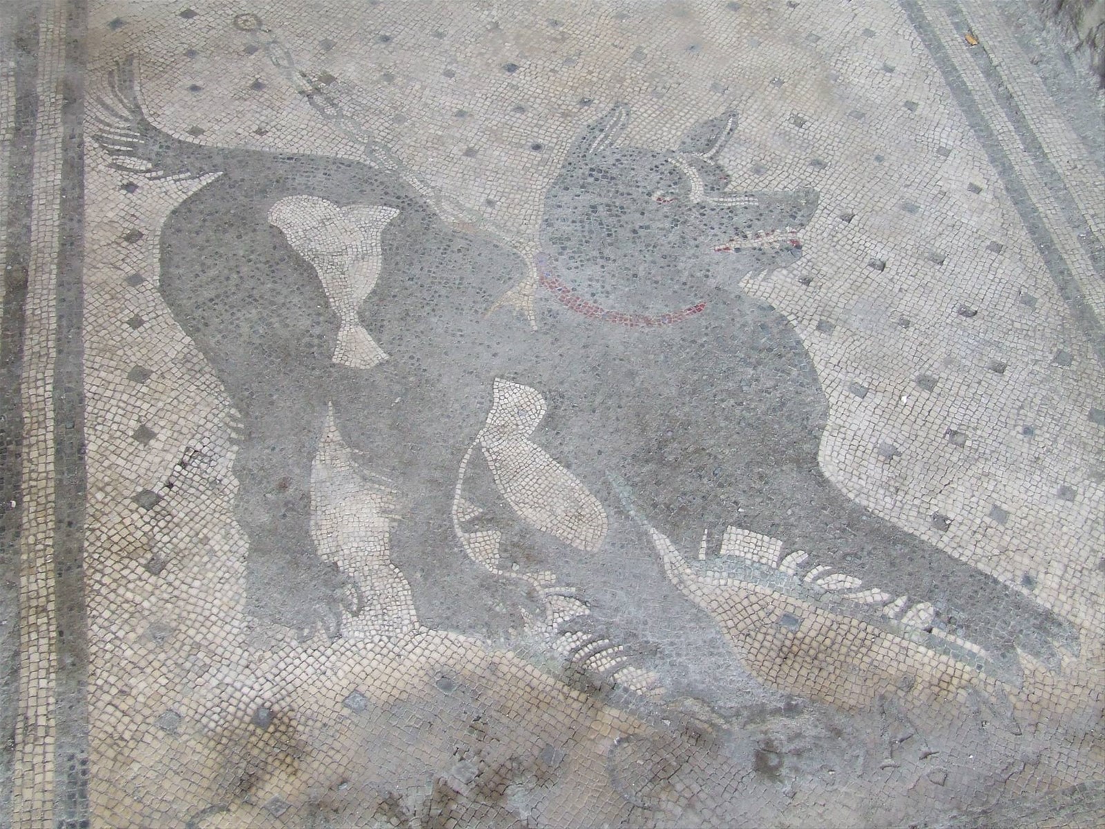 POMPEI - Il mosaico ''CAVE CANEM''