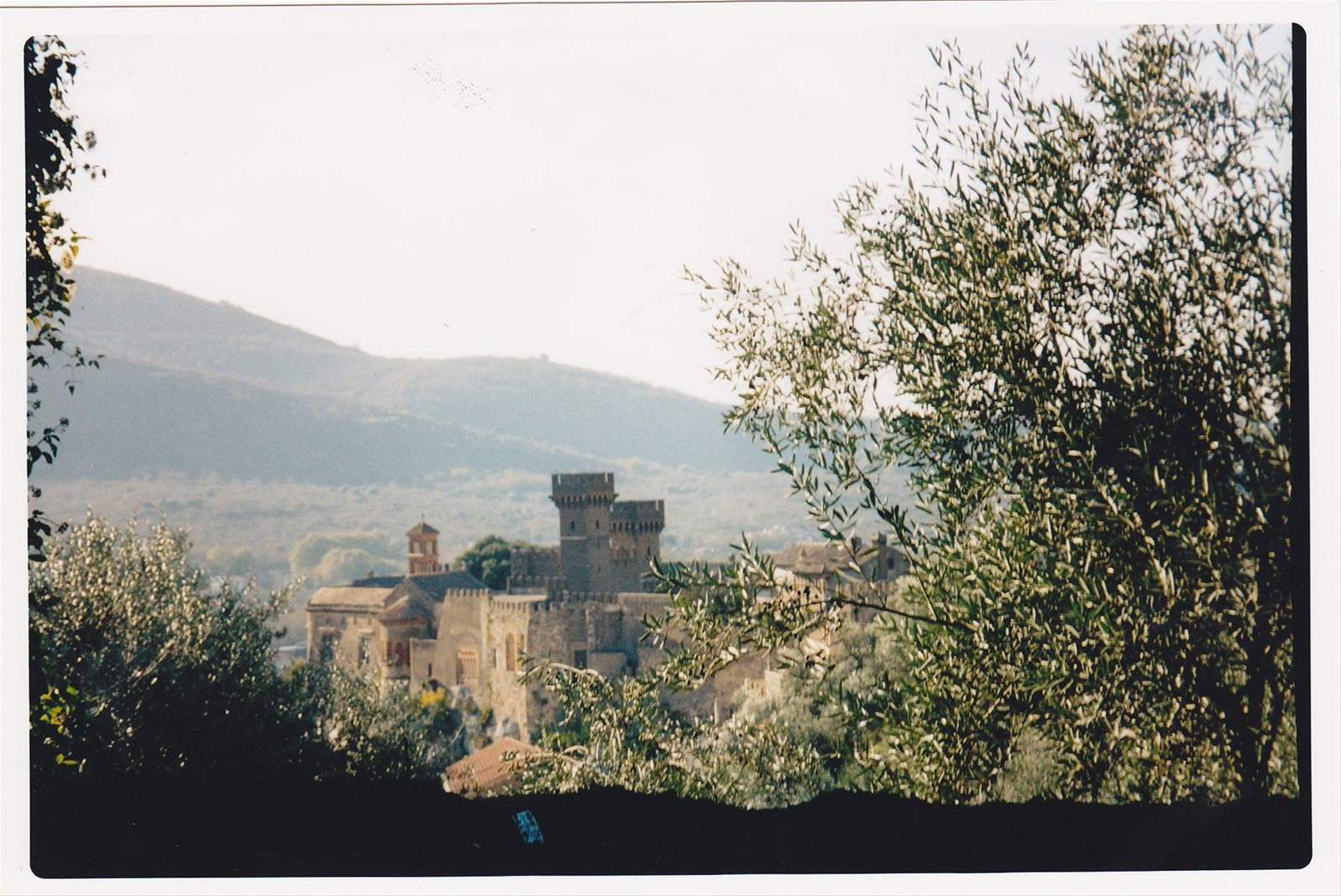 LAURO