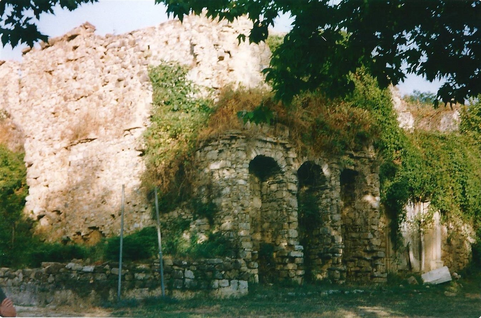 ROSCIGNO
