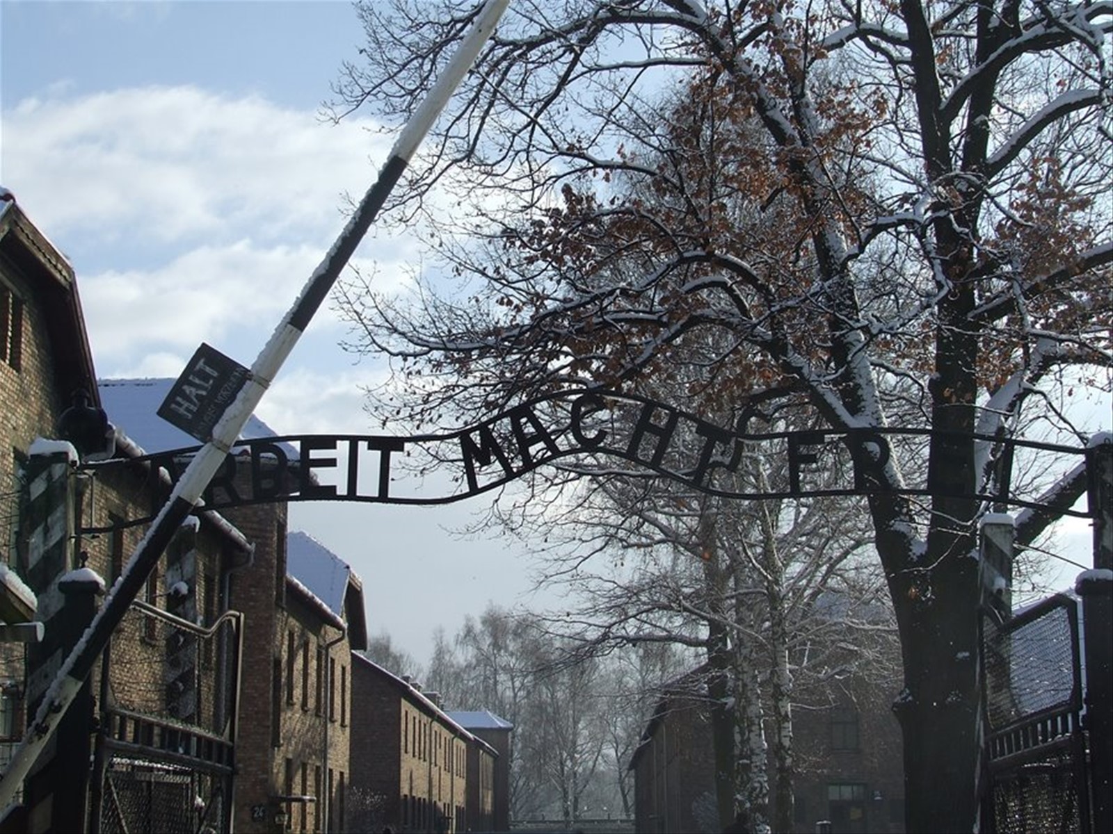 AUSCHWITZ