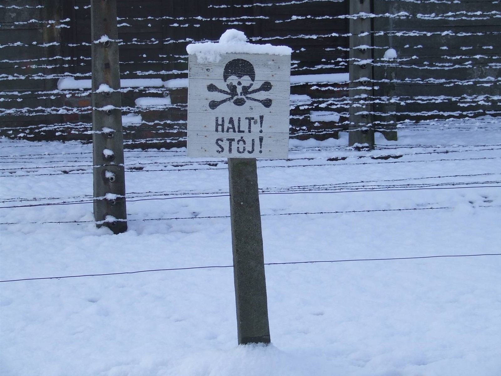 AUSCHWITZ