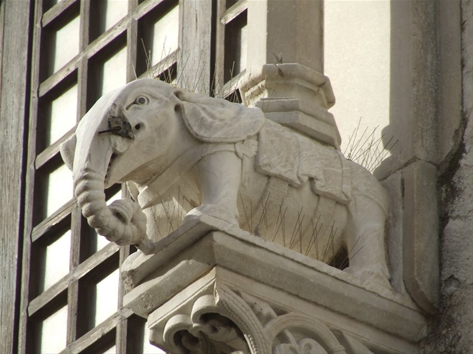 BARI - Particolare della Cattedrale