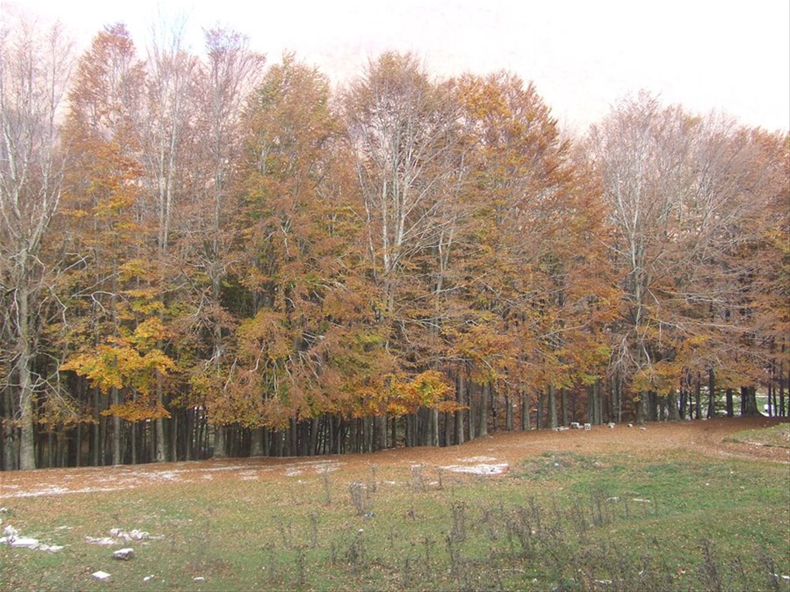 MONTELLA - Parco Regionale dei Monti Picentini