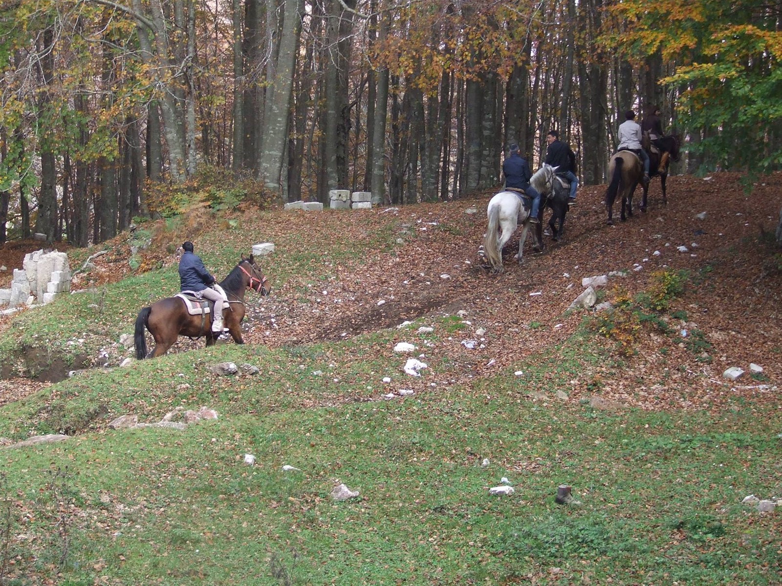 MONTELLA - Parco Regionale dei Monti Picentini