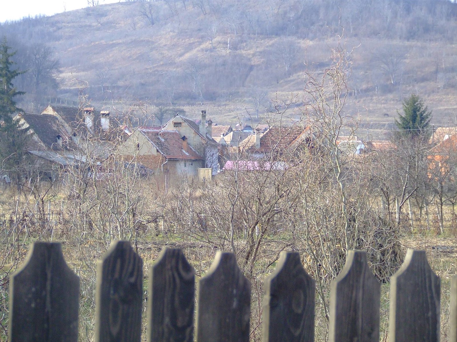 MOSNA - Panorama parziale