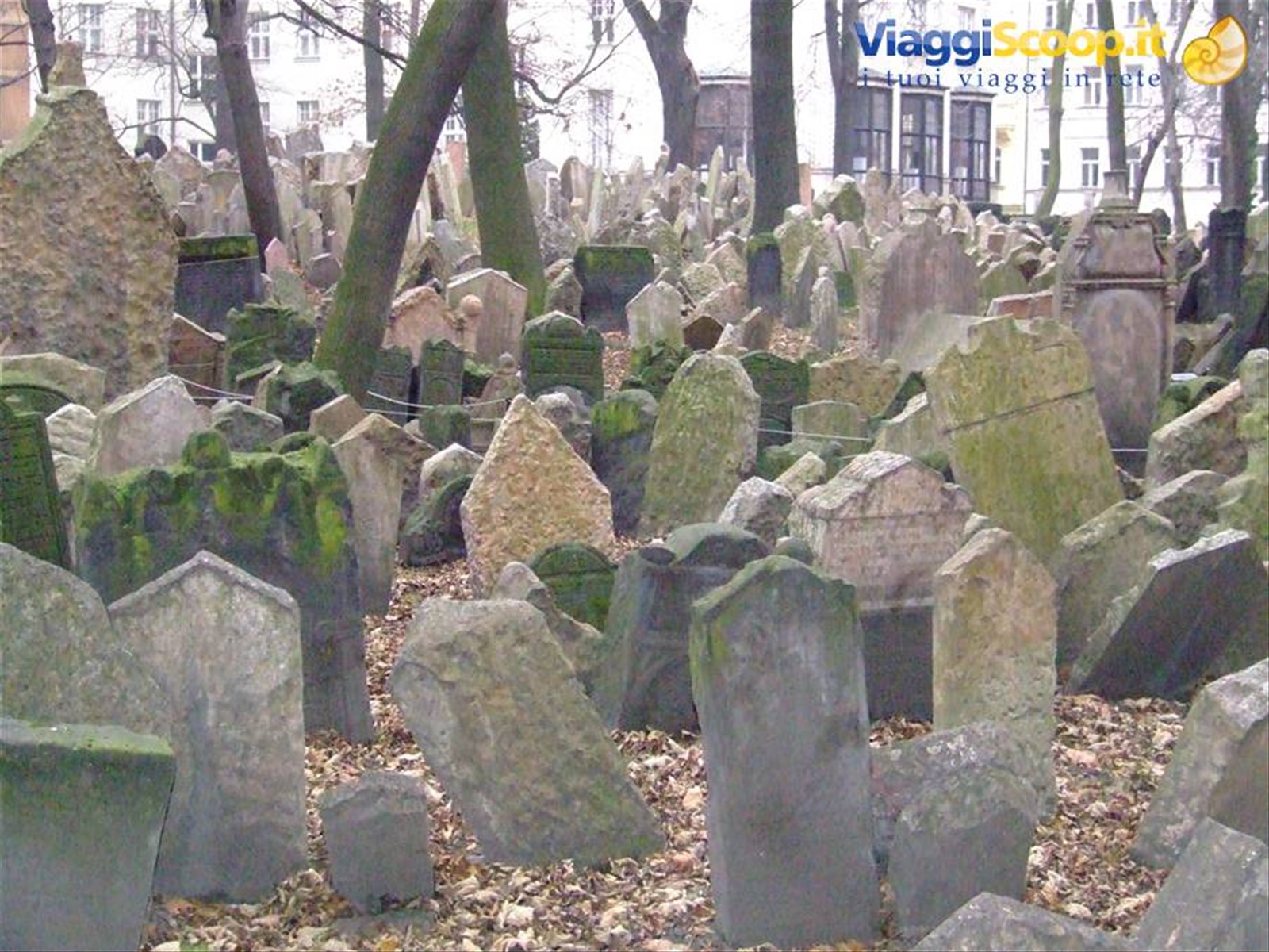Lapidi ammassate nel Cimitero Ebraico a Praga