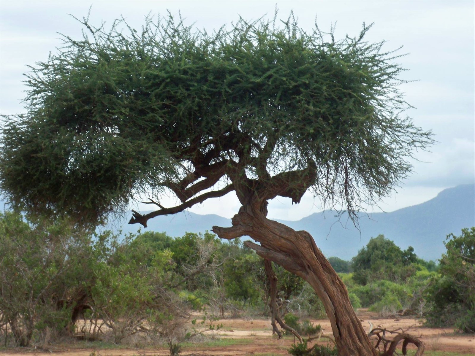 Foto di viaggio in KENYA