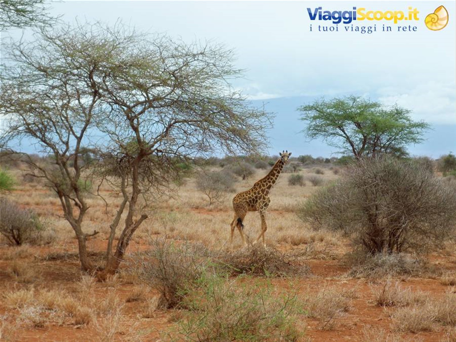 Foto di viaggio in KENYA