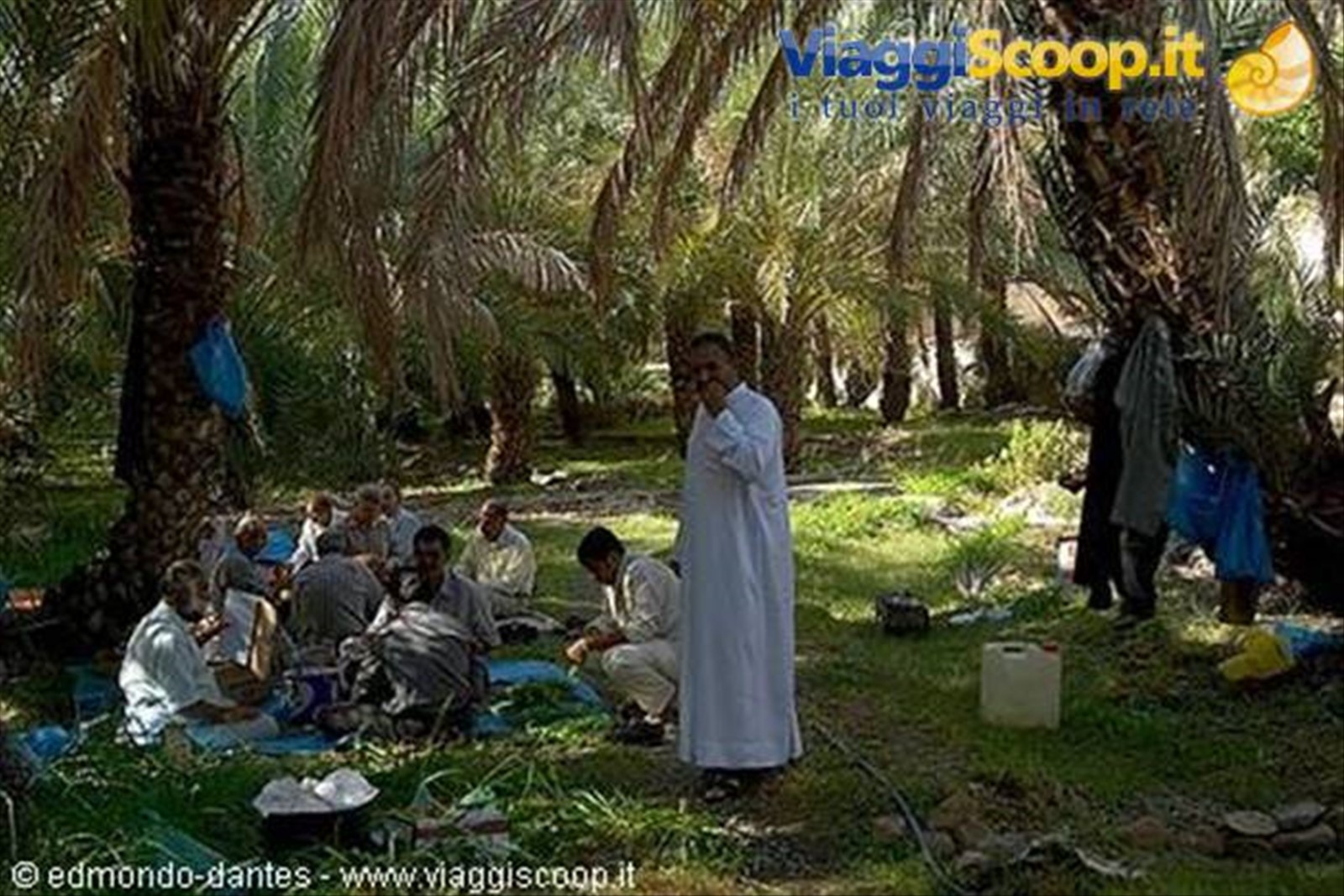 Un'oasi al confien con l'Oman