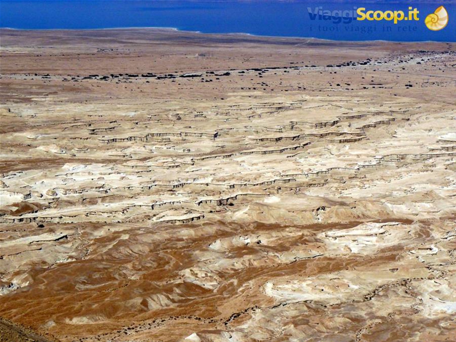 Masada