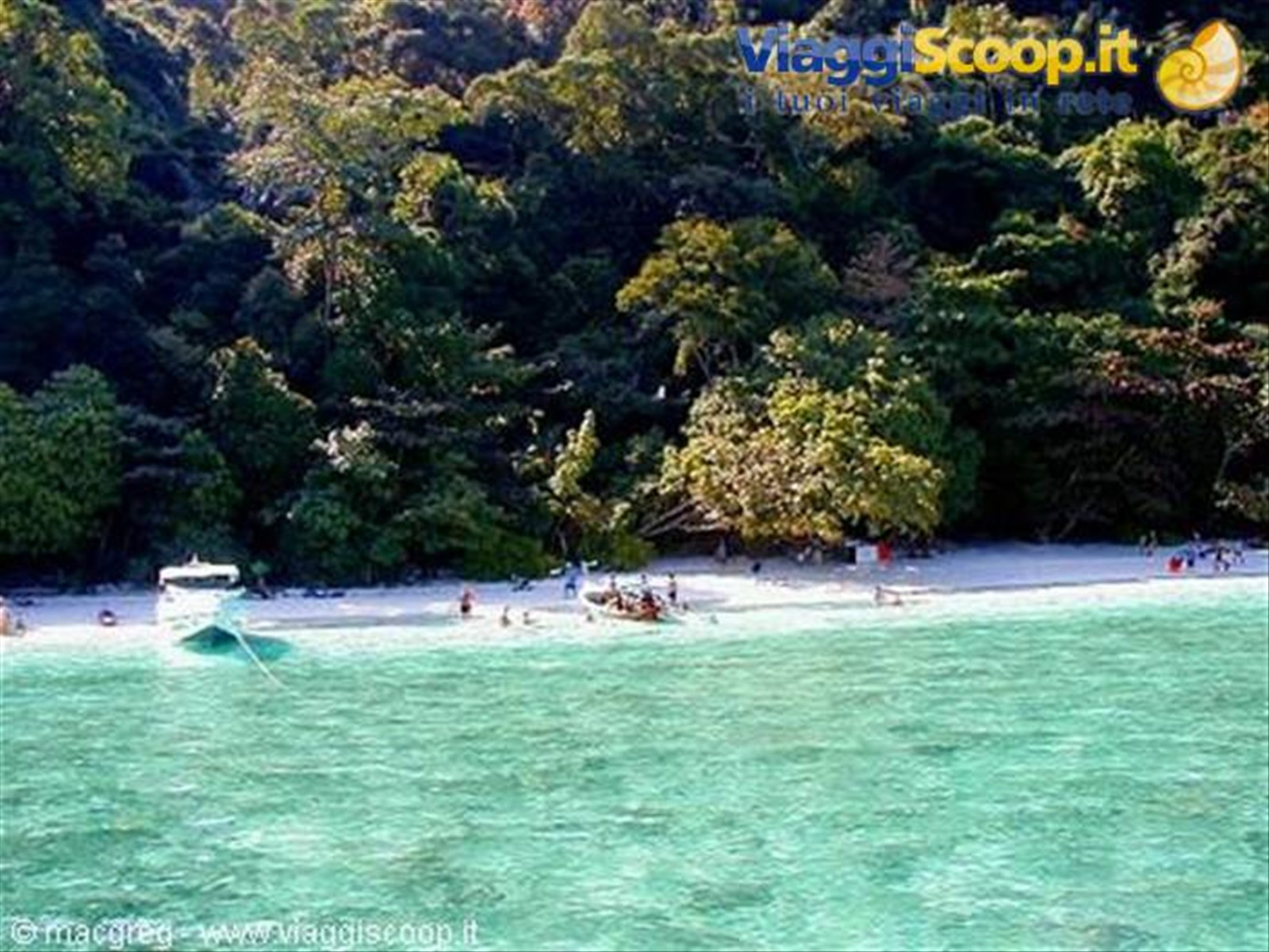 Phi Phi Island