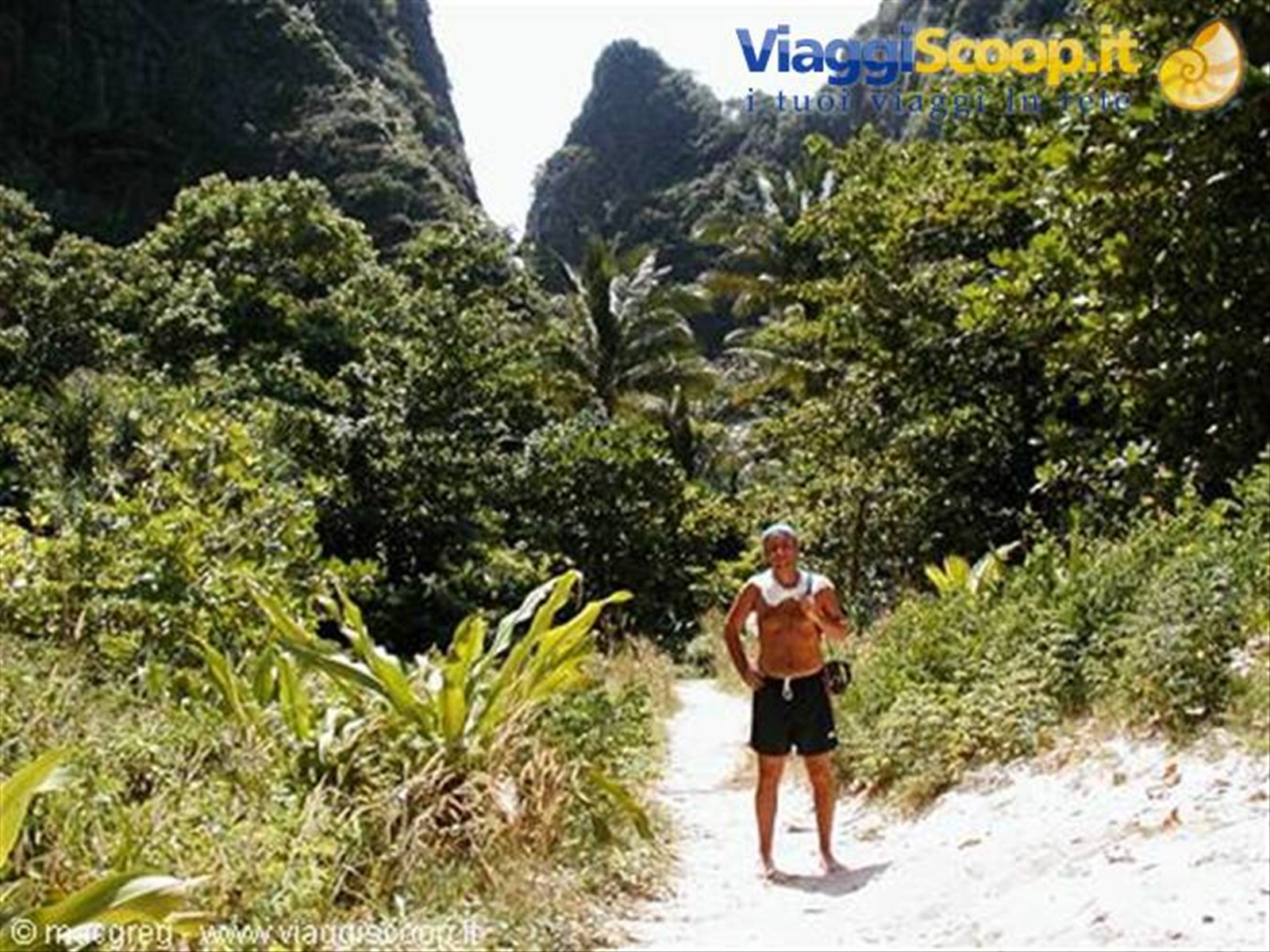 Phi Phi Island