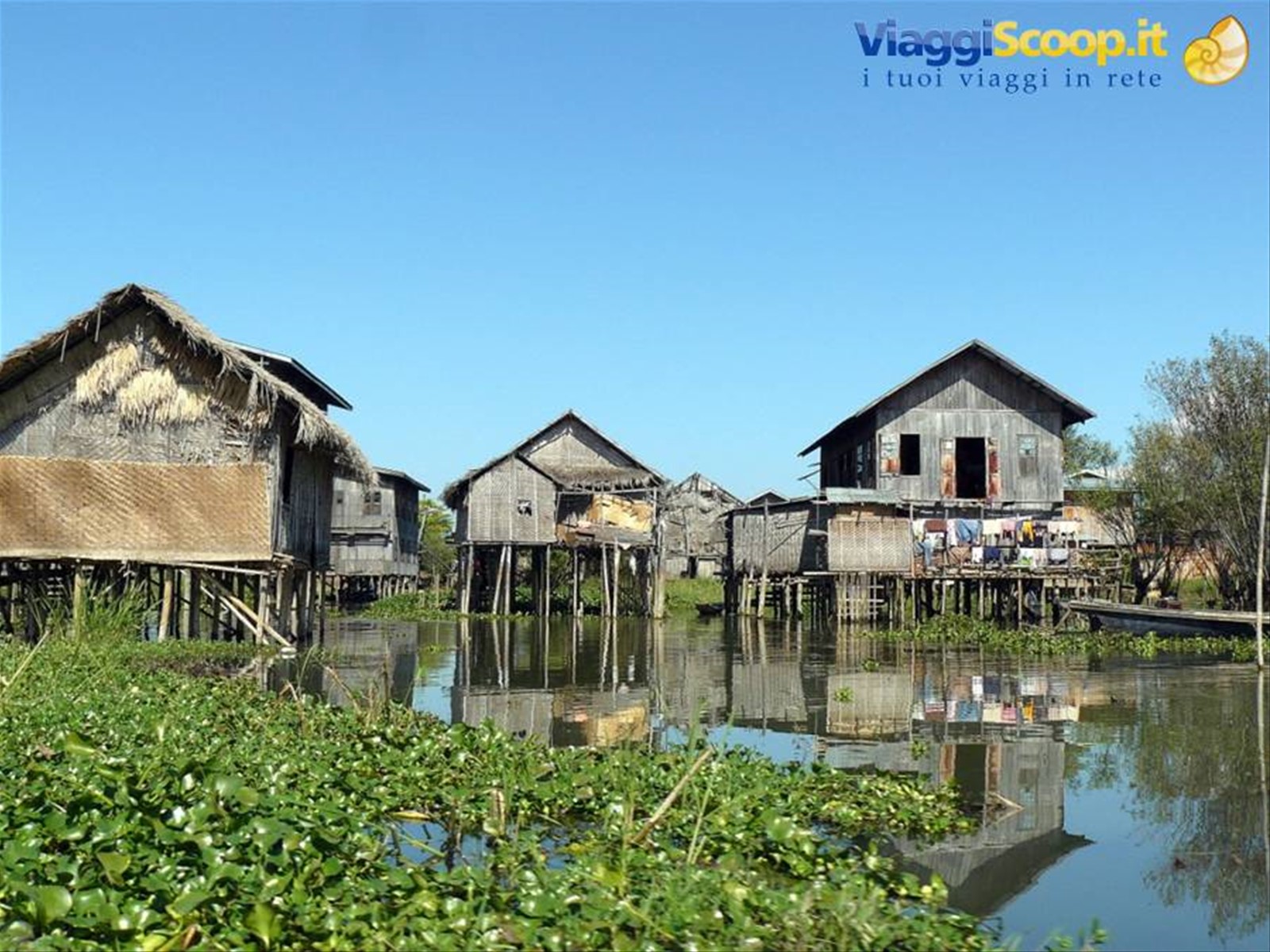 Padaung