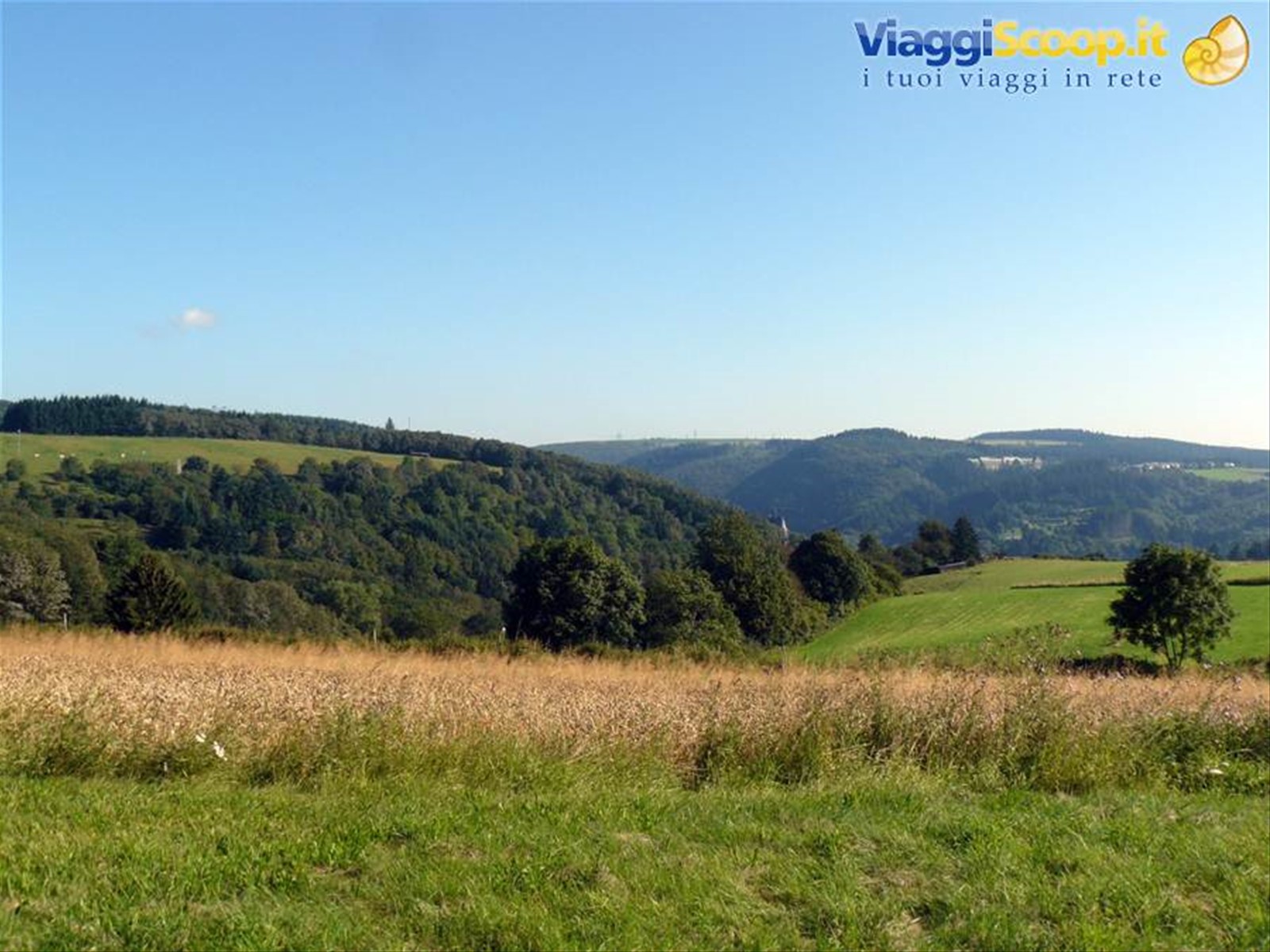 Ardenne