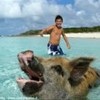 foto viaggio BAHAMAS