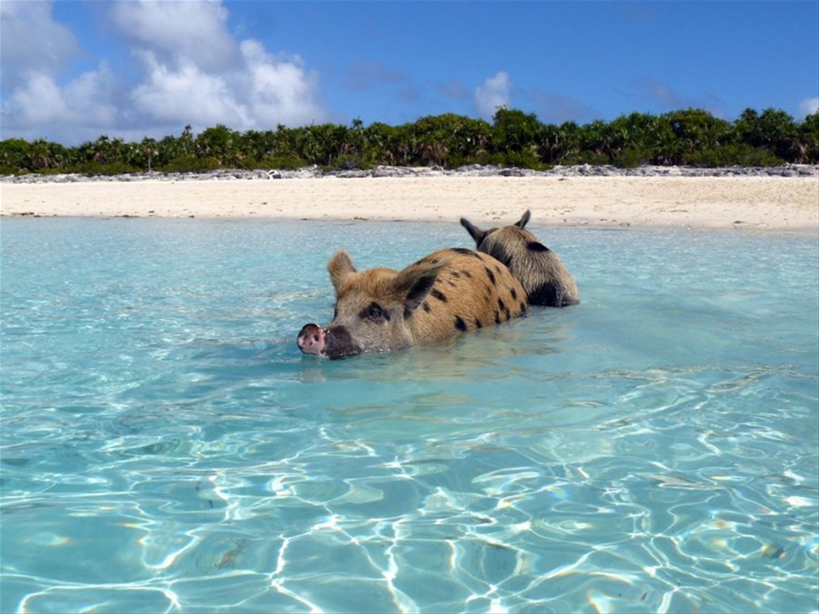 Exuma Cays