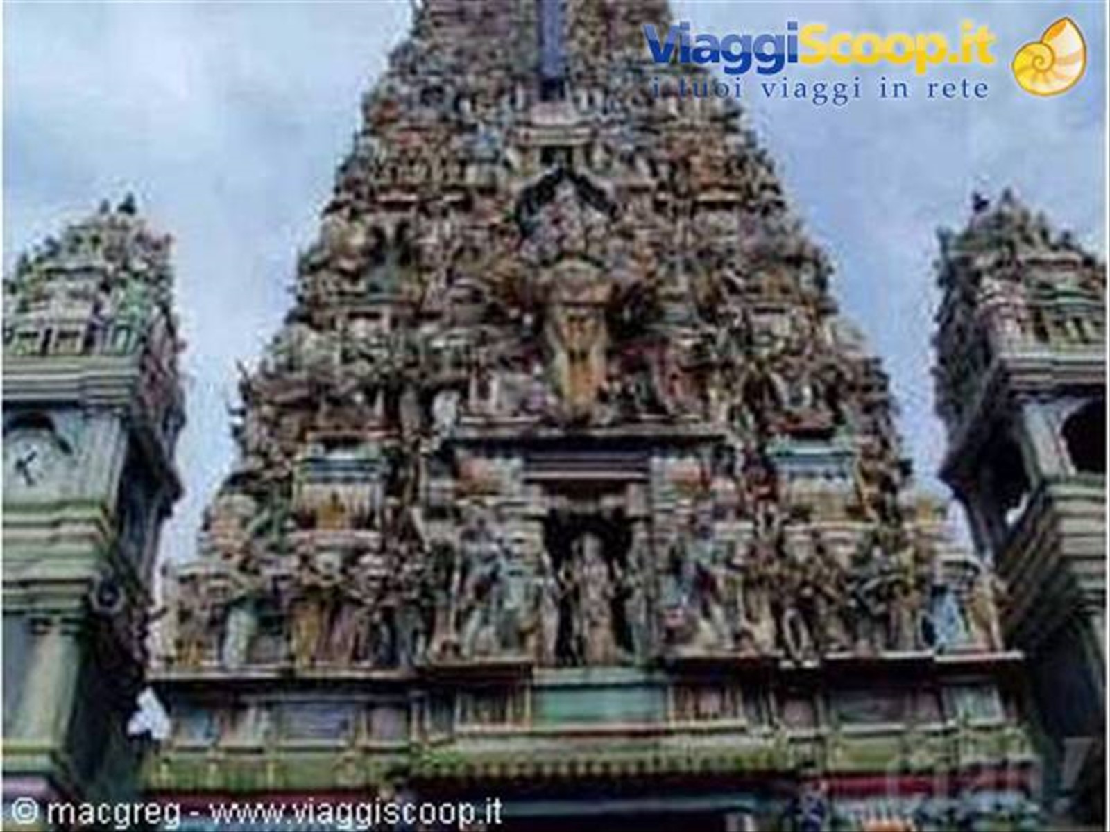 Colombo (immagine presa dal web)