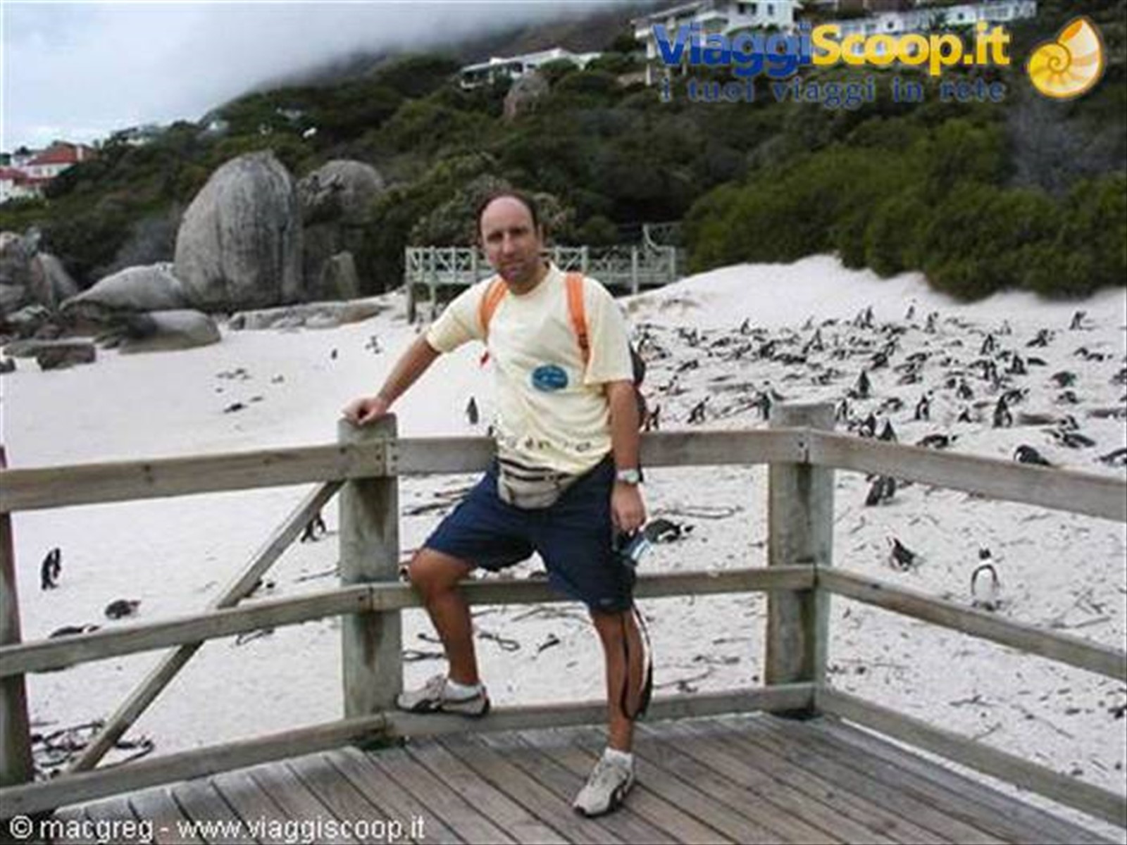 Boulders Beach, colonia di pinguini