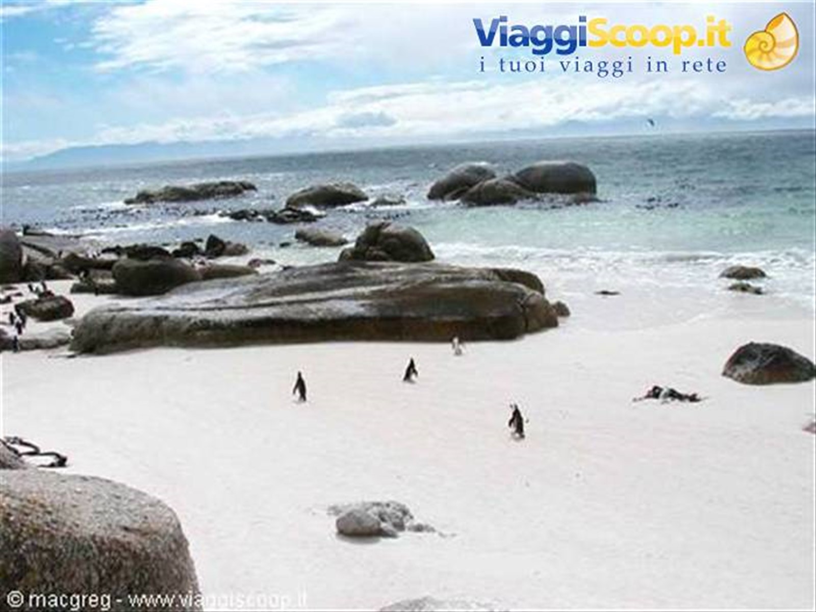 Boulders Beach, colonia di pinguini