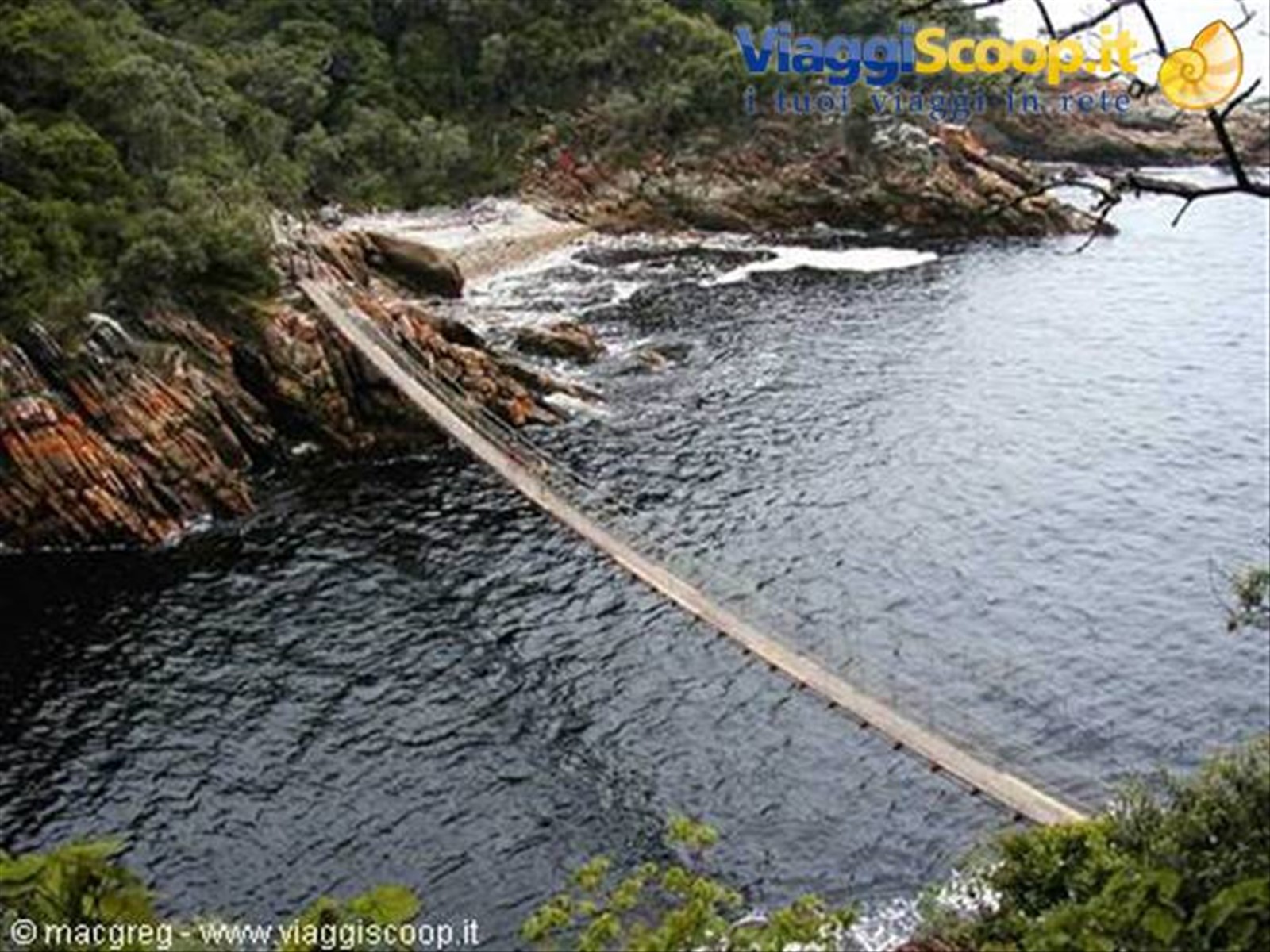 Tsitsikamma NP, il ponte sospeso