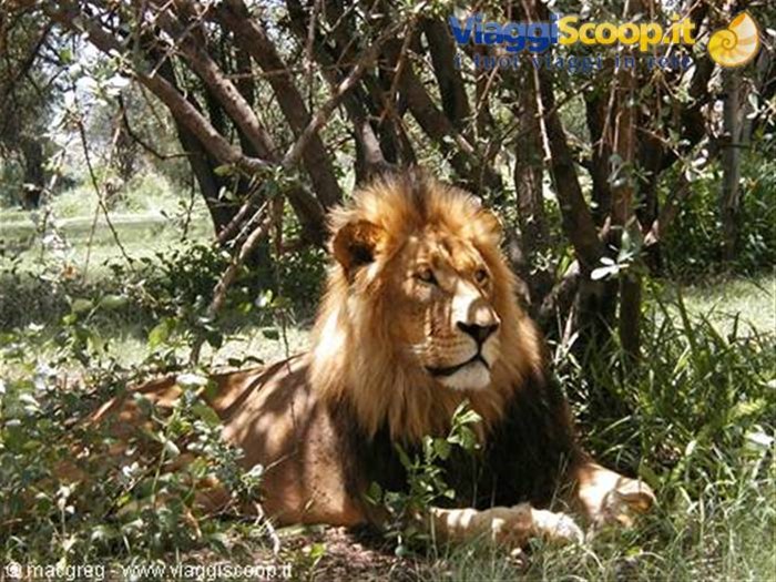 Pilanesberg