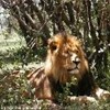 foto viaggio SUD AFRICA