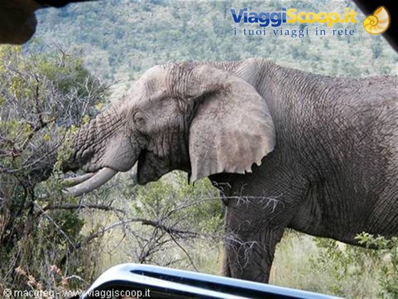 Pilanesberg NP