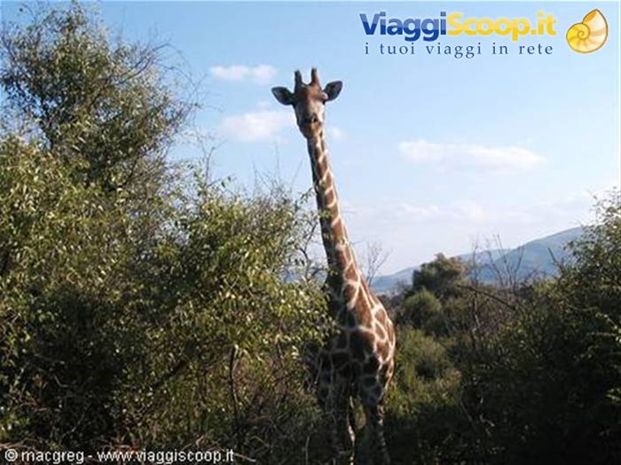 Pilanesberg NP