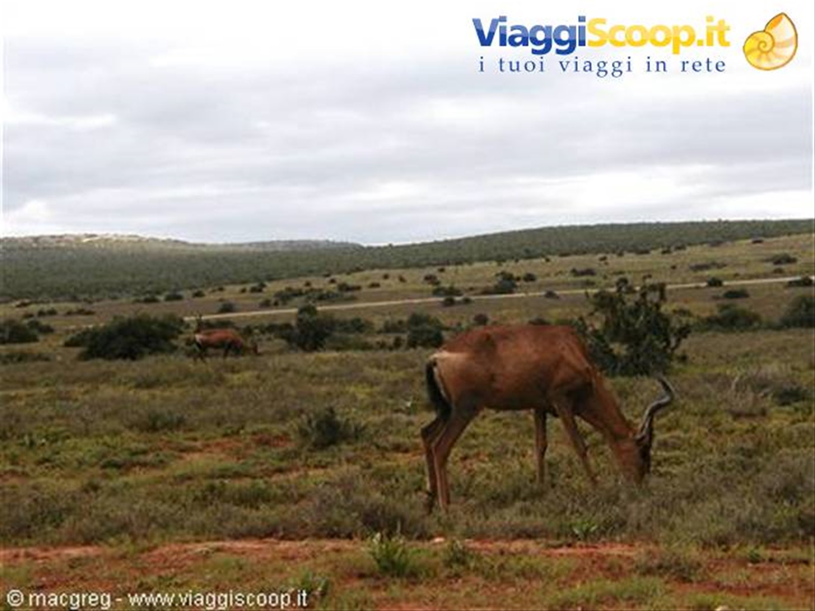 Addo NP