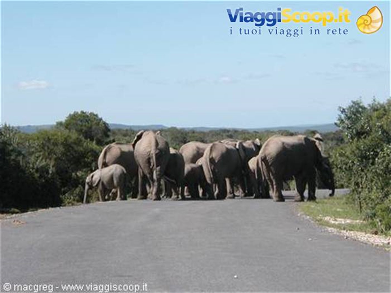 Addo NP