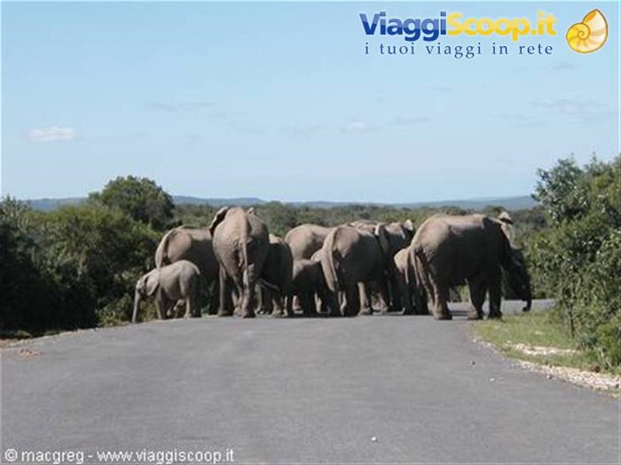 Addo NP