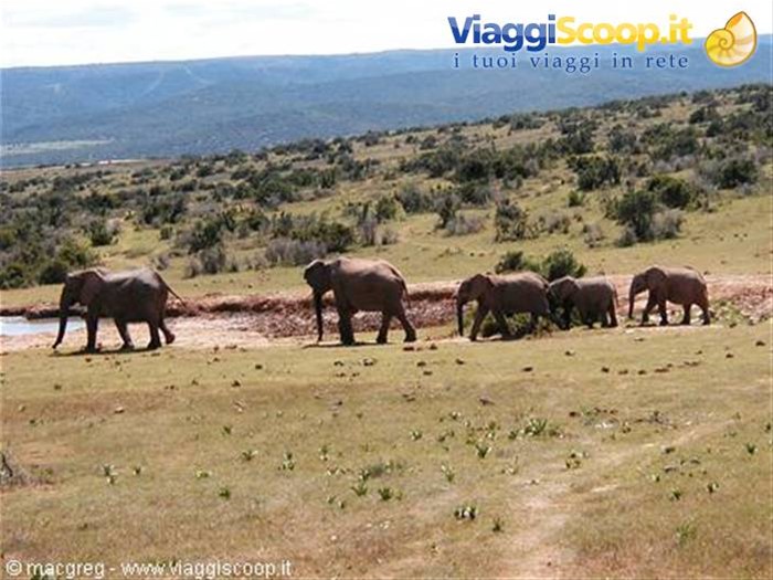 Addo NP