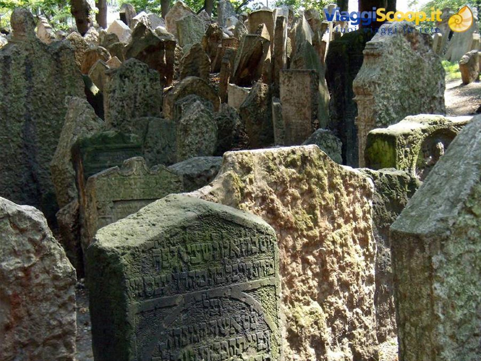 Cimitero Ebraico