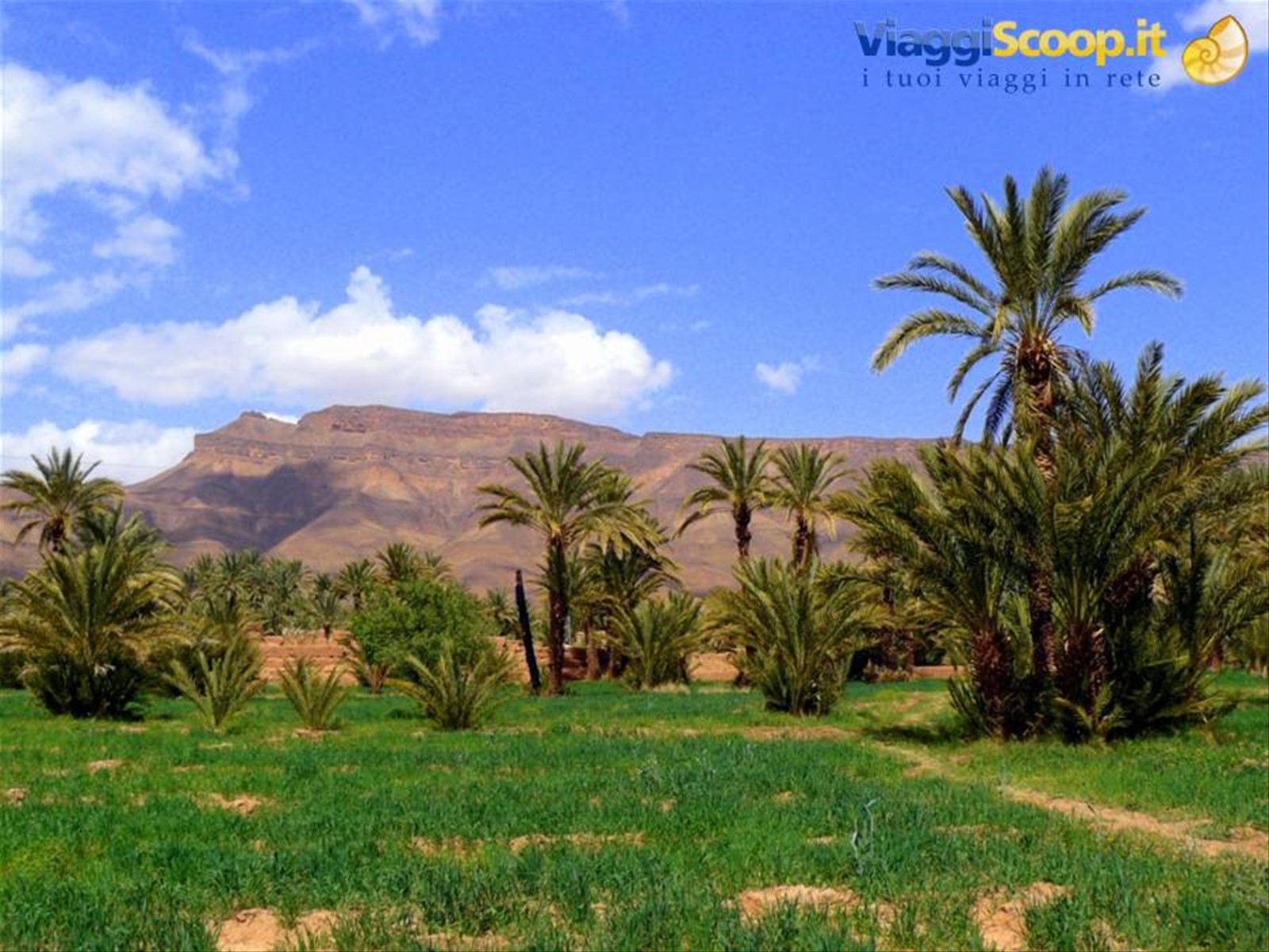 Valle del Draa