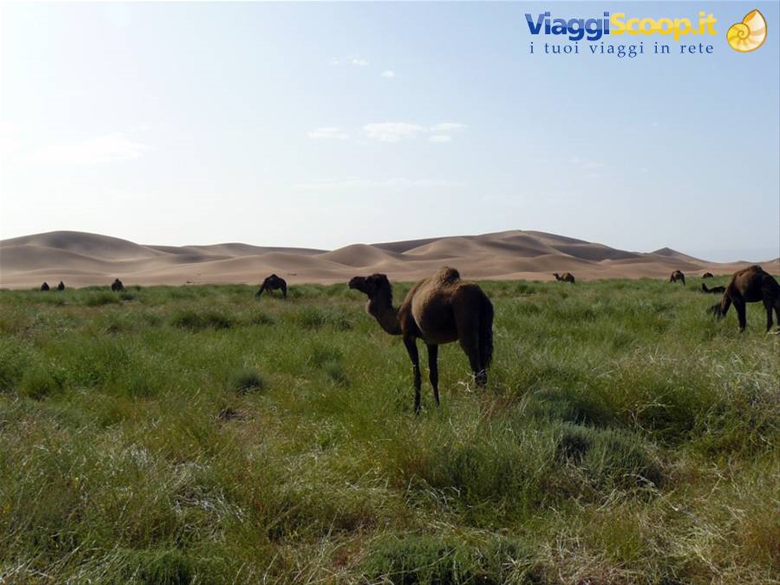 dune di Chegaga
