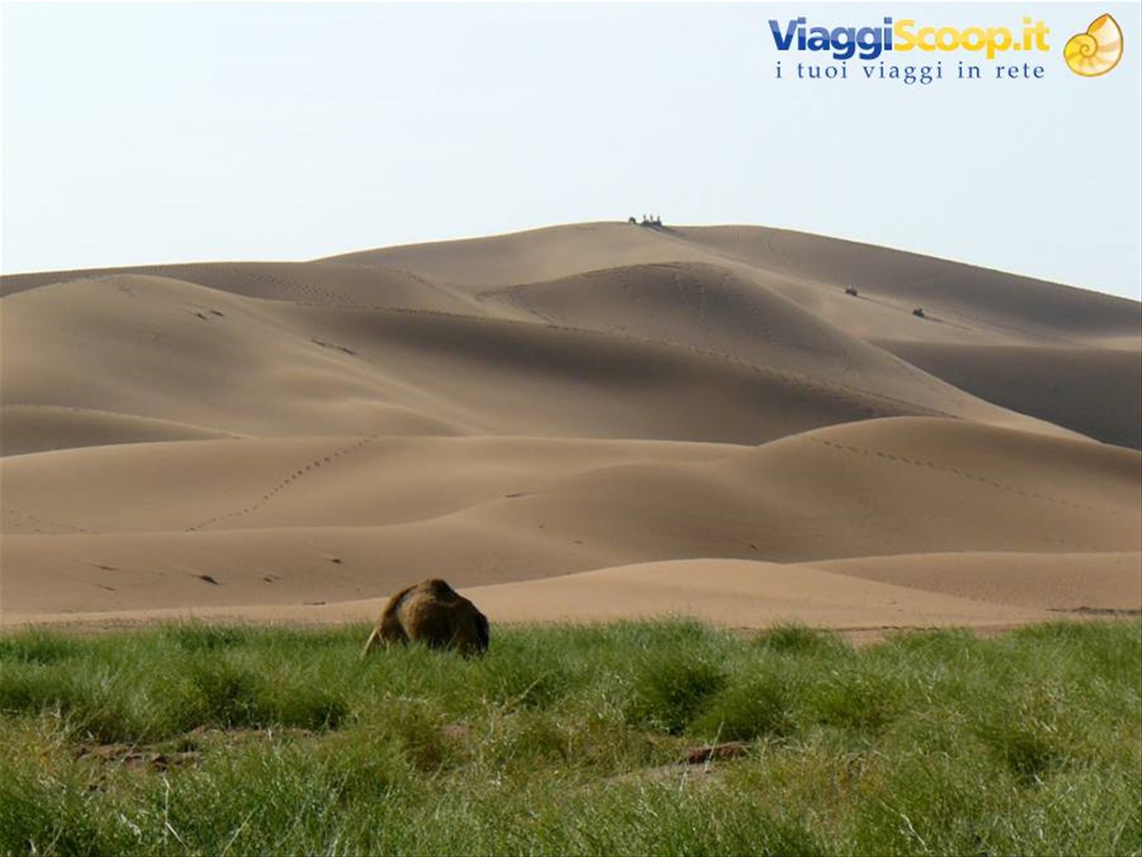 dune di Chegaga
