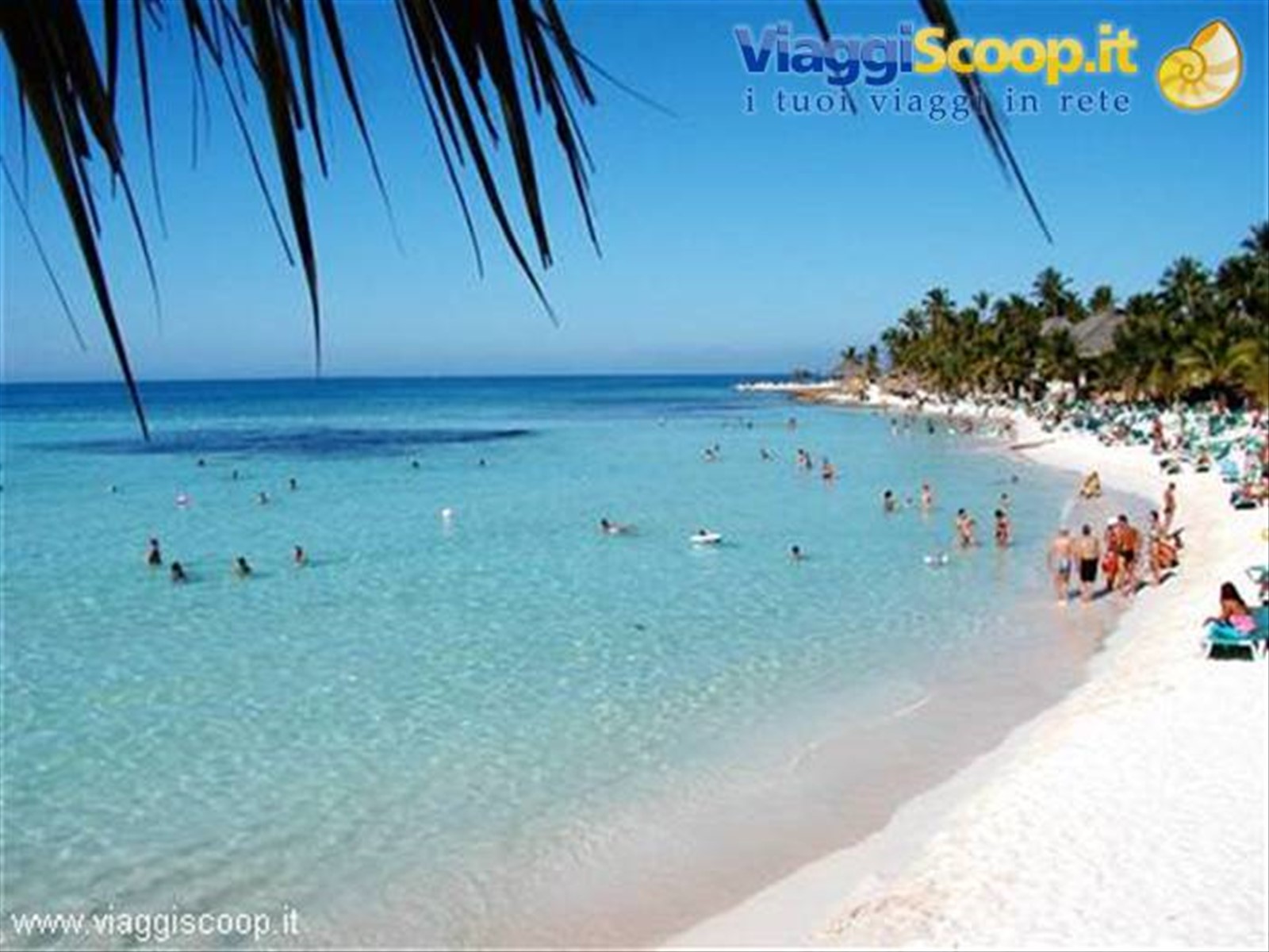 Viva Dominicus Beach
