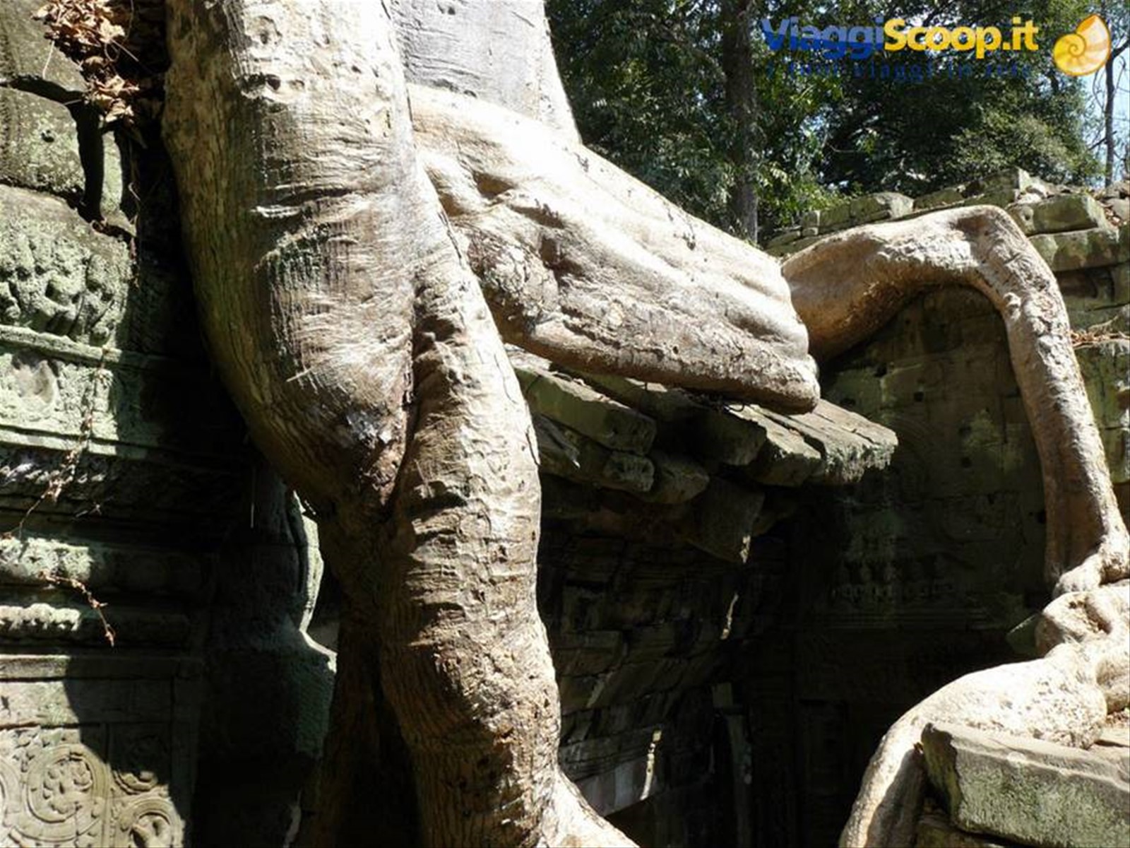 Foto di viaggio in CAMBOGIA