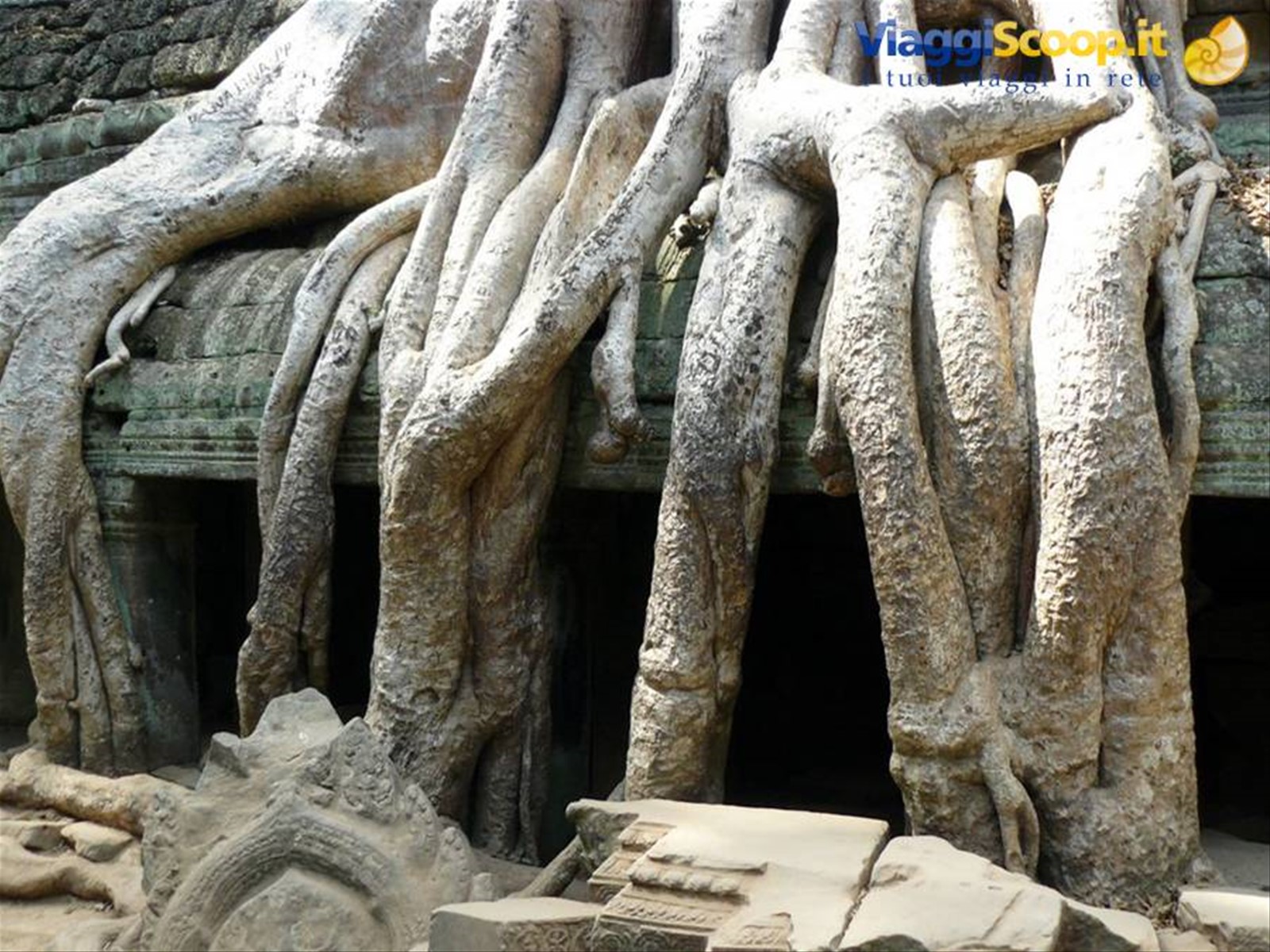 Foto di viaggio in CAMBOGIA
