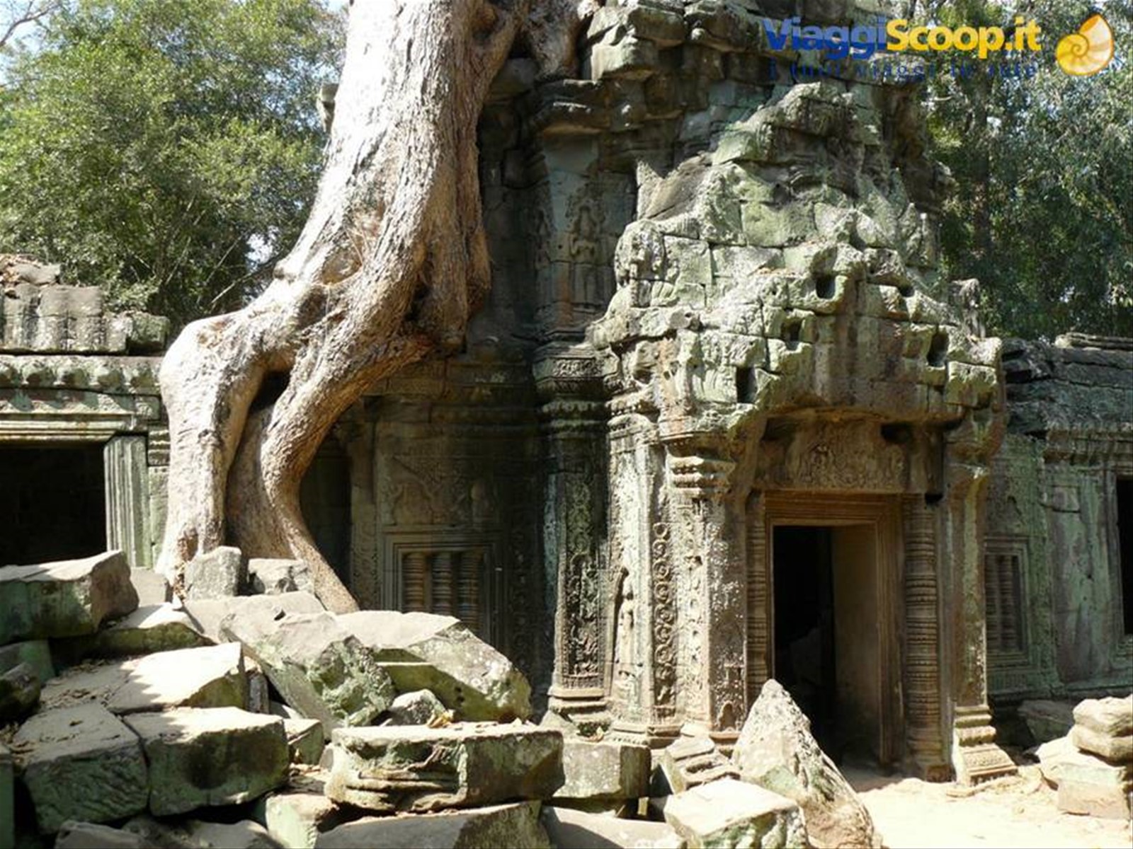 Foto di viaggio in CAMBOGIA