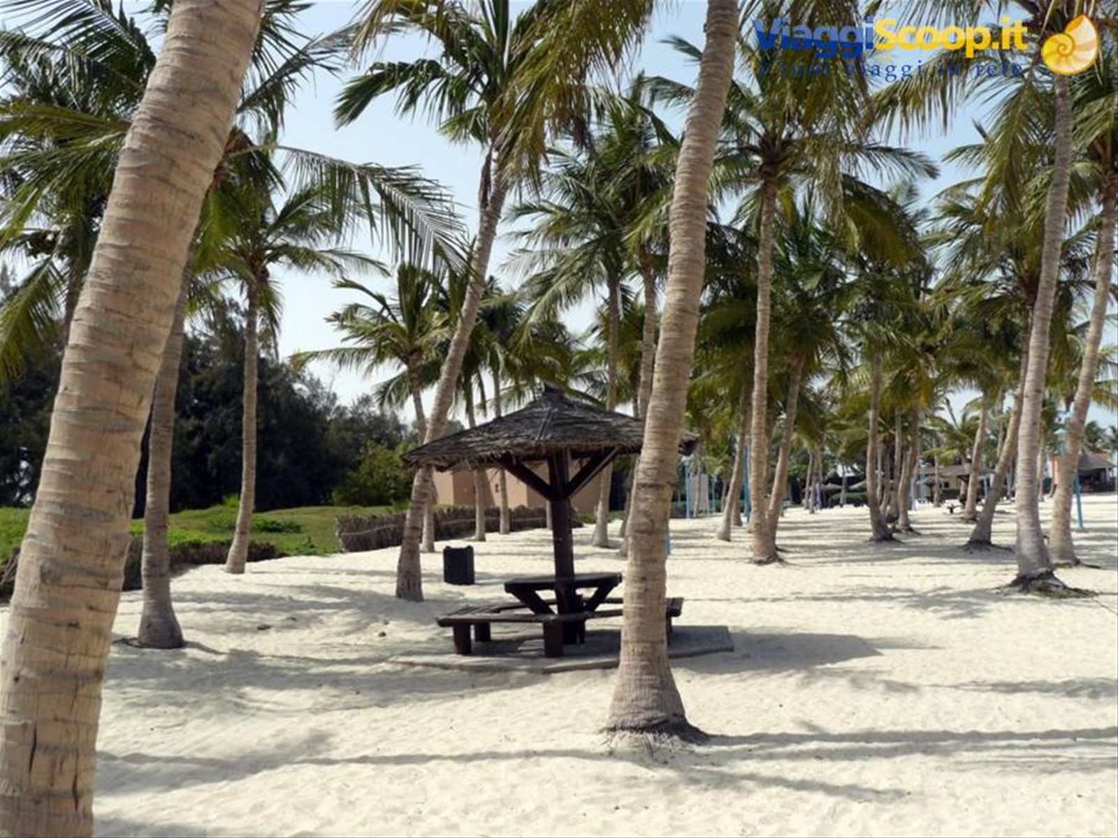 jumeirah beach park